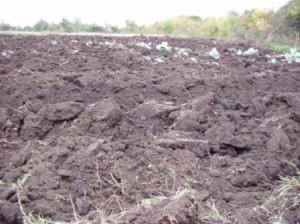 Вся украинская земля будет доступна в Интернете 