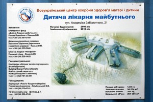 Рада не заинтересованна, куда супруга Ющенко дела деньги на больницу будущего Ющенко Литвин 