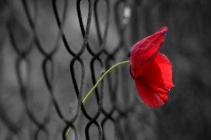 Взрывы в Макеевке, цензура