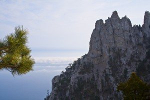 IMG_3266