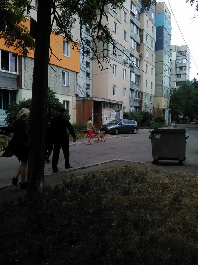 11178328_835423076513269_1161879796368418750_n