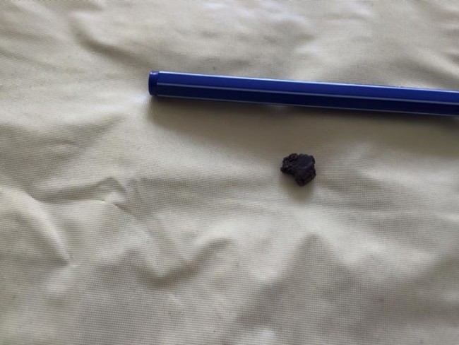 11751969_856106187771291_5479671263331972144_n