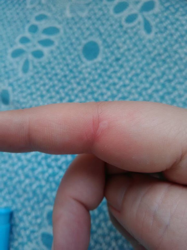 11752573_835423049846605_8785311905402326641_n