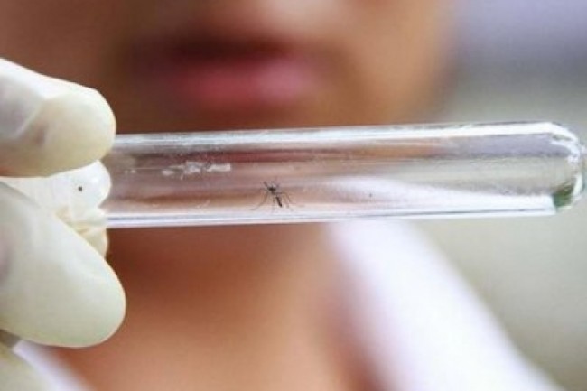 729_486_5696864f38fae