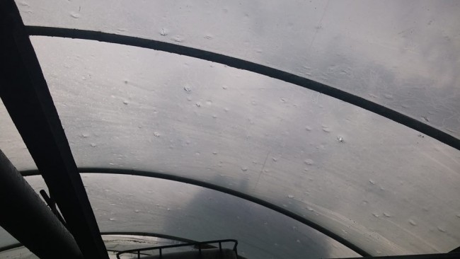 4a4a935-13393984-1135927329783516-3177644883378711090-n