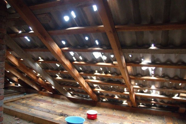 55ae3f7-13442323-1742882979319006-6808165841397640611-n