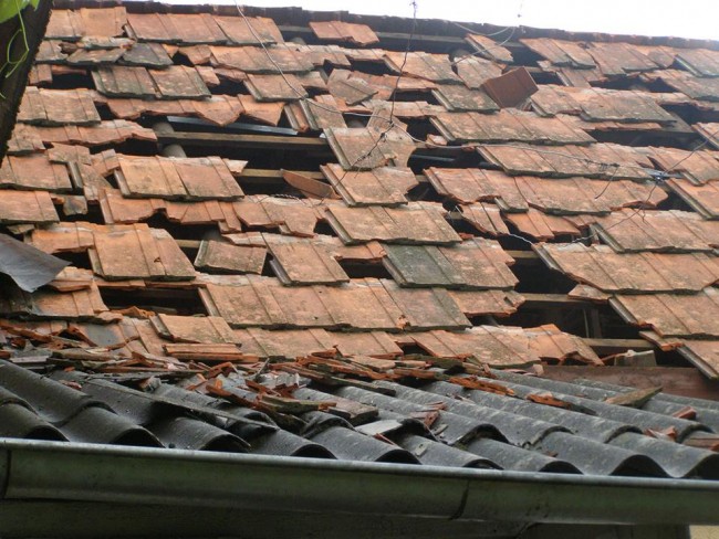 e8bec8e-13450093-545075225677443-6442357932642983452-n