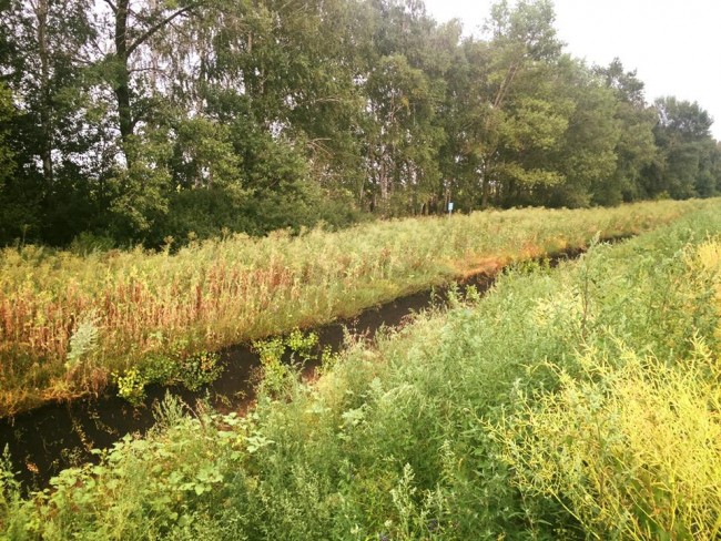 429def167807e7ad33cb9928fbcfbd3a