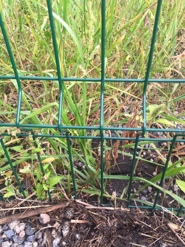 43da357f45ba4b76b563906c104de04b