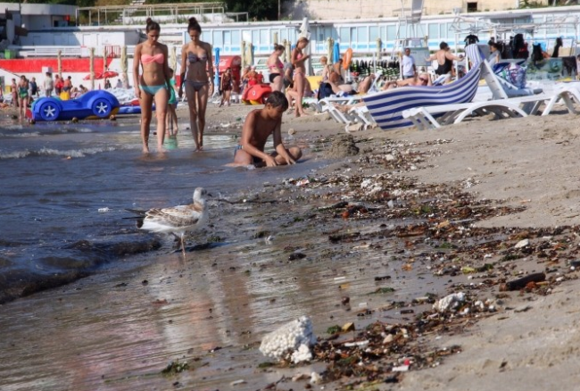 Скриншот 08-08-2016 150304