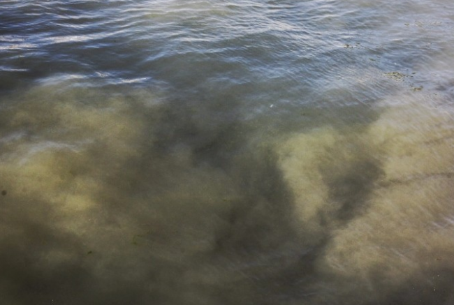 Скриншот 08-08-2016 150410