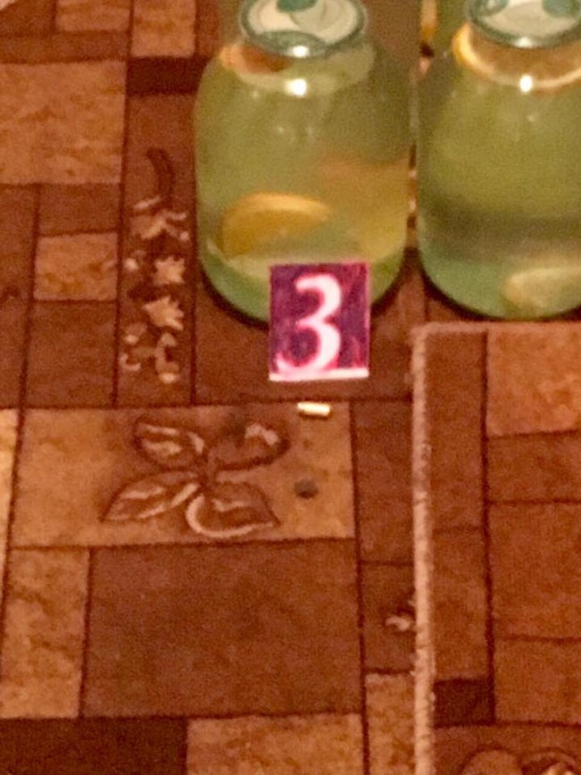 17362919_10212680935400745_4942745247110920093_n