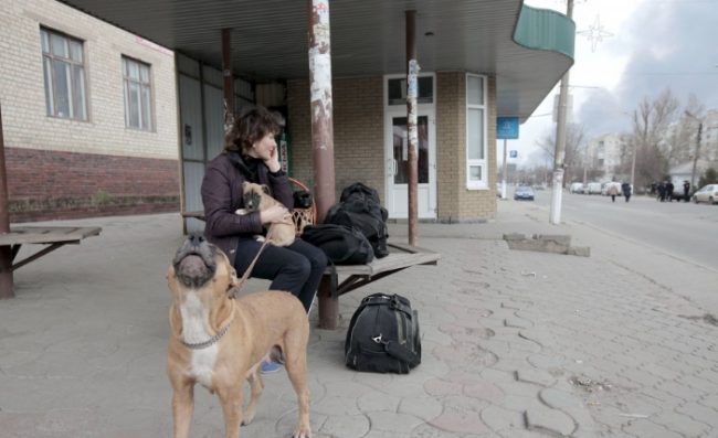 Скриншот 24-03-2017 134632