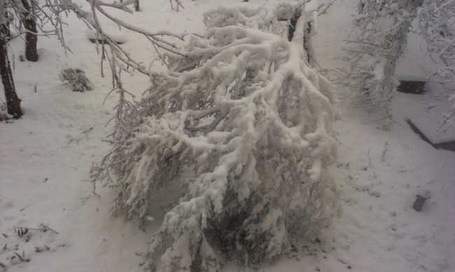 8igz9yzralbja93ko5nwtbdp0