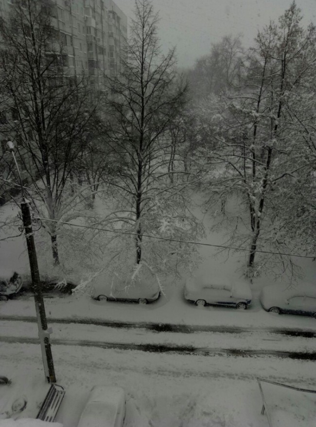 atmvtiy7tjqcdhyxr69n3pqxw