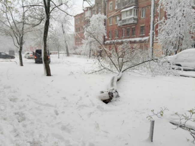 dnkvts42wukhk67rd5gqvu2zr