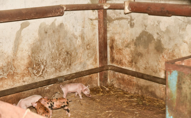 Скриншот 21-08-2017 135010