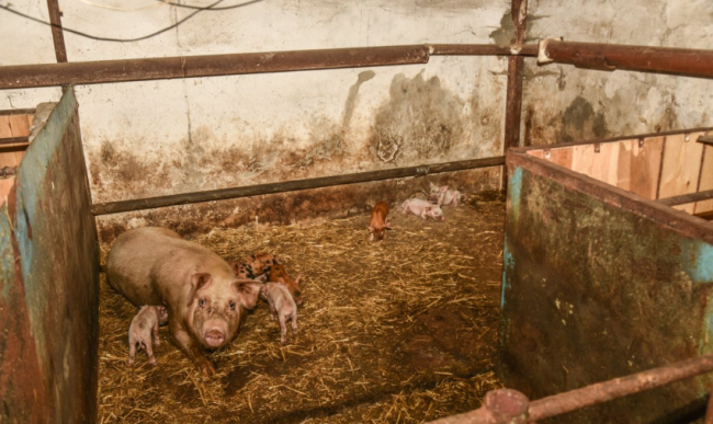Скриншот 21-08-2017 135017