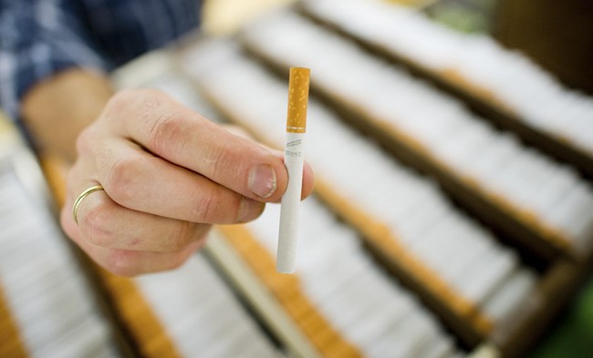 epa05289254 (FILE) A file photo dated 31 October 2013 showing an employee holding a 'West' cigarette in the Reemtsma cigarette factory, a wholly owned subsidiary of the Imperial Tobacco Group PLC., in Langenhagen, Germany. About 700 employees in the factory produce more than 30 billion cigarettes annually, which are exported to over 100 countries. Imperial Tobacco Group PLC. released their 2016 half year results for the six months ended in March 2016 on 04 May 2016, saying their tobacco net revenue was up 16.8 per cent, while total adjusted operating profit was up 19.5 per cent.  EPA/JULIAN STRATENSCHULTE