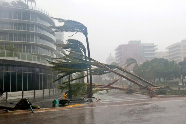 preview3fd5e813b3358bdaf2b01eef8f4f4f90