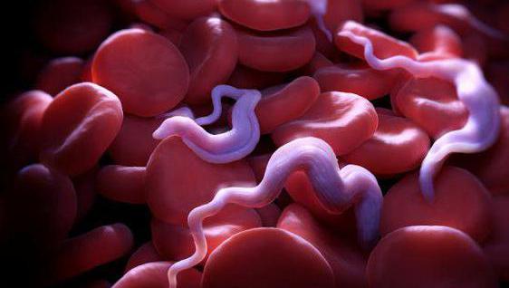 ee3747c1217087f68553a86d9724b886