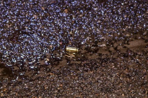 25359870_1516260575122605_560289377_n