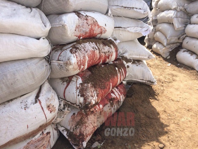 8af94485fe261364919c7370243dfa2e