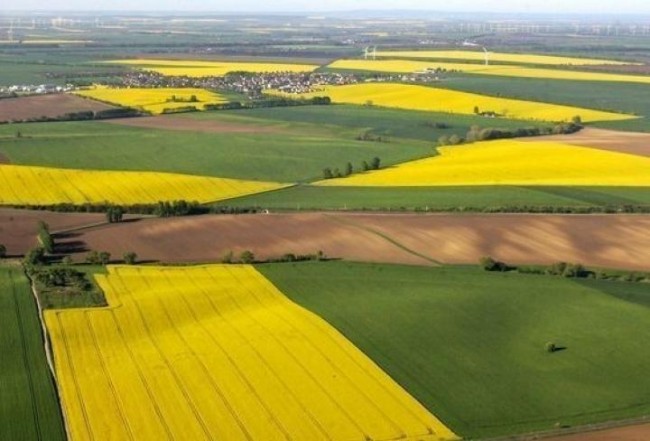 Без названия