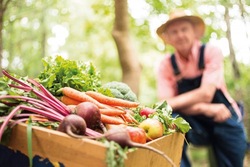 GettyImages-541867236