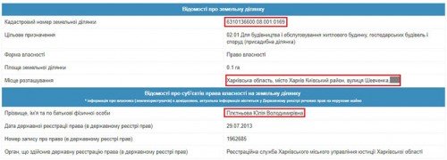 pletnov8-crop-u108850