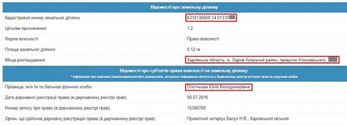 pletnov10-crop-u116298