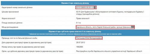 pletnov8-crop-u116244