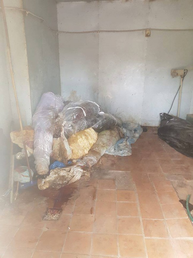 36189117_973992269450429_8941416294389907456_n