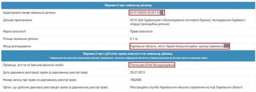 pletnov8-crop-u116244